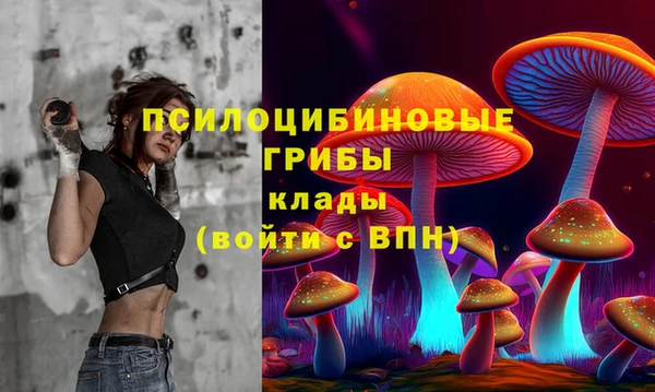 ПСИЛОЦИБИНОВЫЕ ГРИБЫ Гусь-Хрустальный