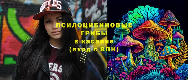 спиды Дмитров
