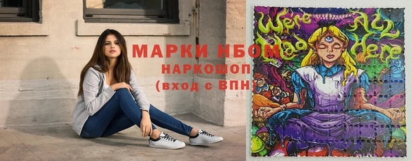 сатива Сосновка