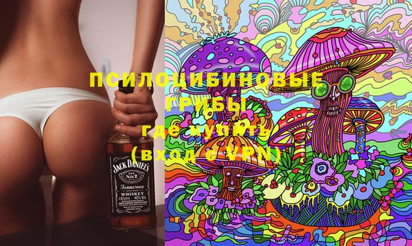 спиды Дмитров