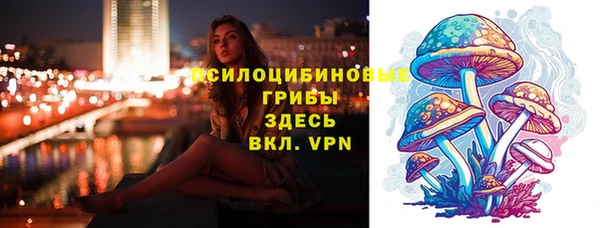 круглые Дмитриев