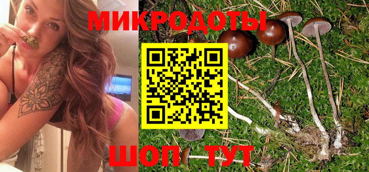 Галлюциногенные грибы Psilocybine cubensis Сердобск